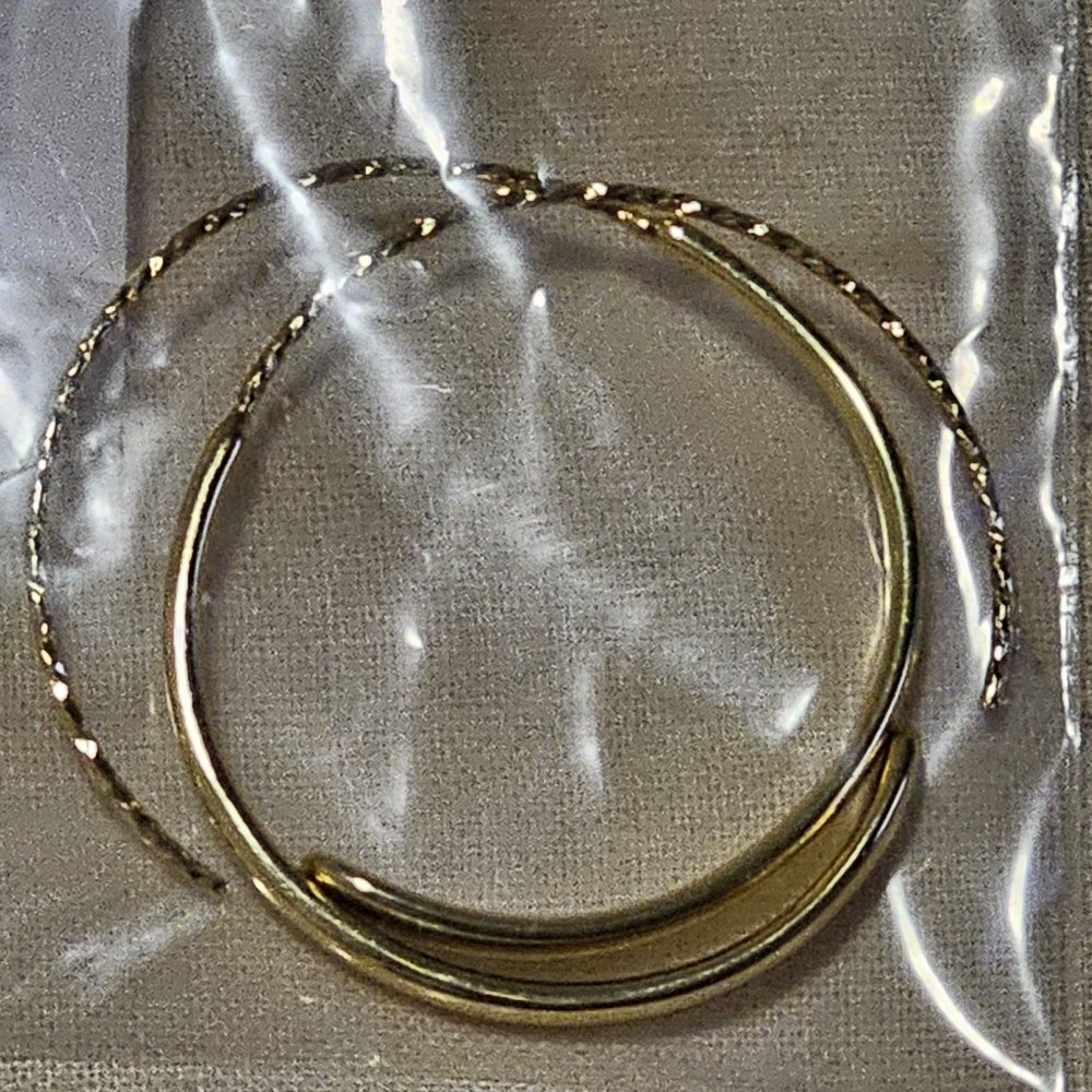 Elegant Gold Hoop Earrings